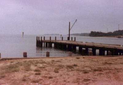 Piney Point Today